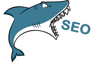 Web Design Nottingham SEO
